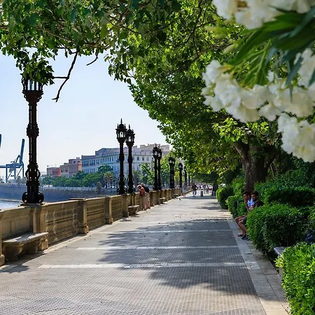 Atico Del Marques Free Parking By Cadiz4rentals Apartman