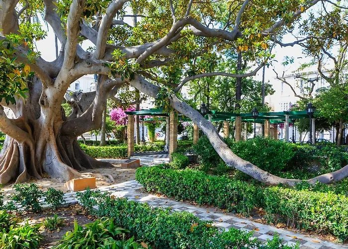 El Atico Del Marques Free Parking By Cadiz4rentals קדיז